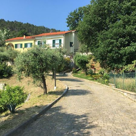 Ospitalita In Campagna 호텔 퀼라노 외부 사진