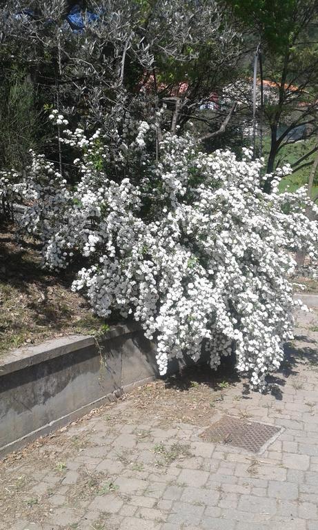 Ospitalita In Campagna 호텔 퀼라노 외부 사진