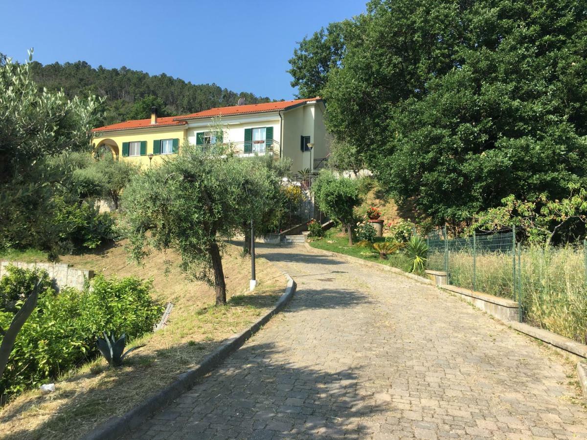 Ospitalita In Campagna 호텔 퀼라노 외부 사진